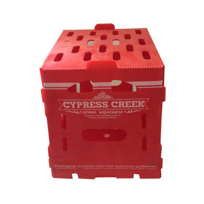 Caja de embalaje de frutas de plástico corrugado de PP