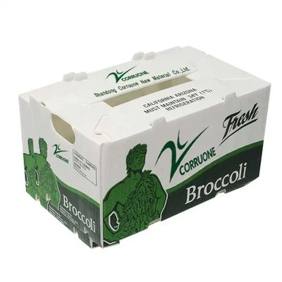 Caja de embalaje de vegetales de polipropileno de plástico corrugado de PP personalizada reciclable