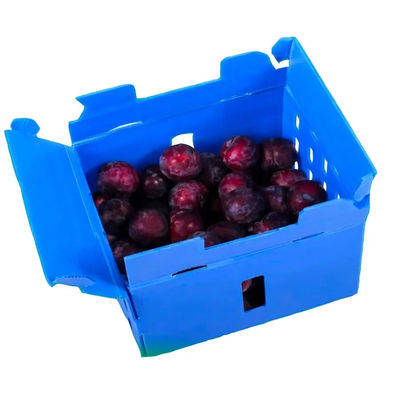Caja de plástico corrugado de PP Caja de embalaje de frutas de coroplasto personalizada, plegable y reciclable