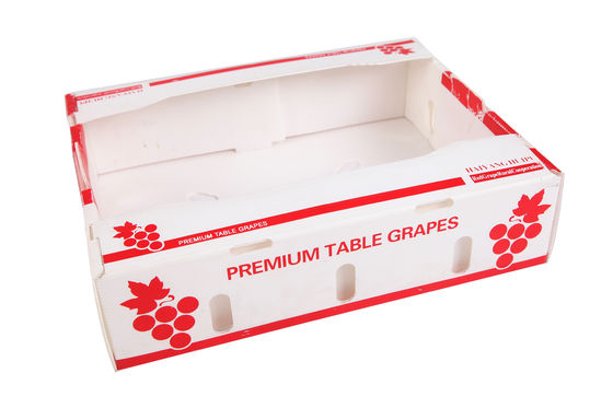 Caja de plástico corrugado de PP Caja de embalaje de frutas de coroplasto personalizada, plegable y reciclable