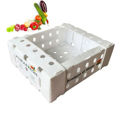 Caja de plástico corrugado de PP Caja de embalaje de frutas de coroplasto personalizada, plegable y reciclable