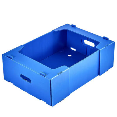 Caja de plástico corrugado de PP Caja de embalaje de frutas de coroplasto personalizada, plegable y reciclable