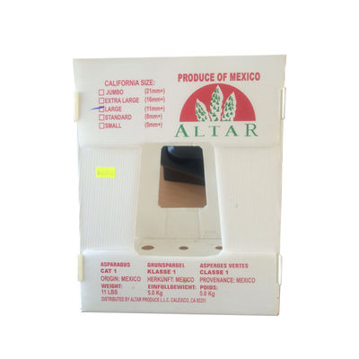 Caja de embalaje de vegetales de polipropileno de plástico corrugado de PP personalizada reciclable