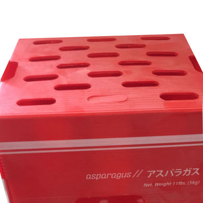 Caja de embalaje de vegetales de polipropileno de plástico corrugado de PP personalizada reciclable