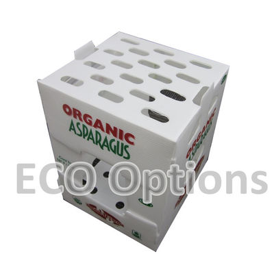 Reciclar caja de plástico corrugado de PP caja de embalaje de coroplasto personalizada ECO plegable