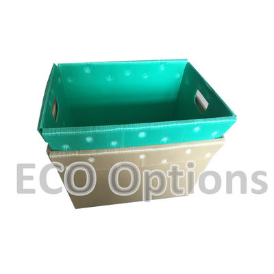 Reciclar caja de plástico corrugado de PP caja de embalaje de coroplasto personalizada ECO plegable