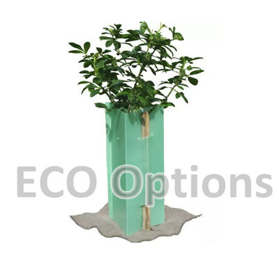 Reciclaje de protector de árboles de plástico corrugado de PP Proteger los retoños de las picaduras de roedores
