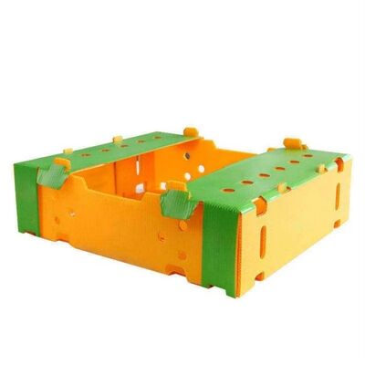 Reusable Corrugated Plastic Box for Fruit Packaging