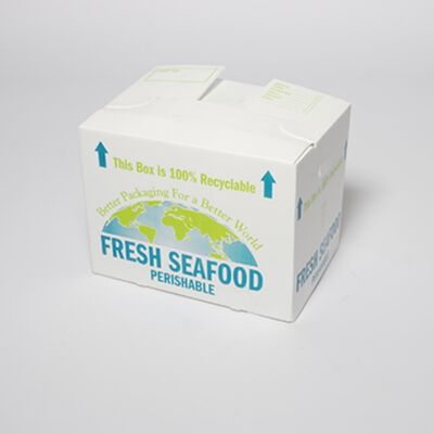 Caja de cartón hueco de PP ligera y resistente a impactos, hecha de material reciclable, duradera, reutilizable e ideal para soluciones de embalaje ecológicas.