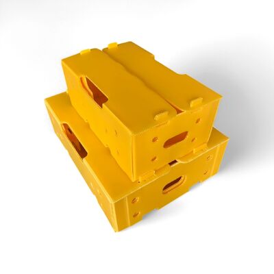 Caja de cartón hueco de PP ligera y resistente a impactos, hecha de material reciclable, duradera, reutilizable e ideal para soluciones de embalaje ecológicas.