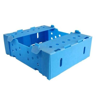 caja de embalaje de frutas y verduras con resistencia al plegado, antienvejecimiento, resistencia al soporte, tracción, compresión, desgarro, alta temperatura, características coloridas