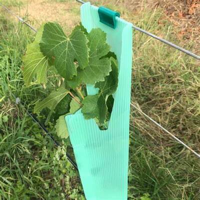 PP Tree Guard es ligero, duradero, impermeable y fácil de instalar, protege a los árboles jóvenes del viento, los animales y los daños, con tamaños, colores, espesores y diseños personalizables.