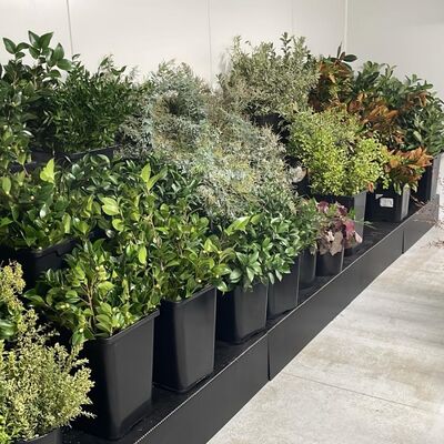 Nuestro soporte de 10 mm de PP corrugado es ligero, duradero y estable, ideal para venta al por menor, exposiciones, promociones y exhibiciones de productos.