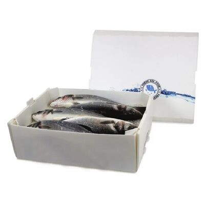 PP corrugated plastic boxes for cold chain transport—lightweight, waterproof, durable, reusable, and built to protect products during handling and delivery.